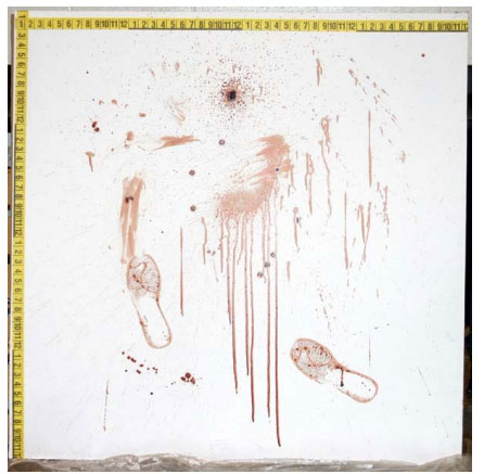 experimental detection of blood under painted surfaces fig1