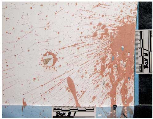experimental detection of blood under painted surfaces fig8