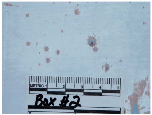 experimental detection of blood under painted surfaces fig7